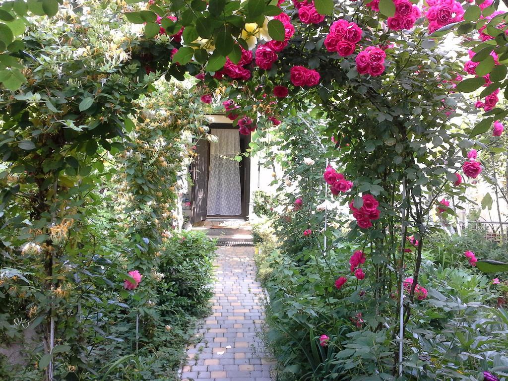 Guesthouse Marta Οδησσός Δωμάτιο φωτογραφία
