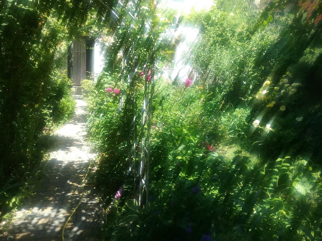 Guesthouse Marta Οδησσός Εξωτερικό φωτογραφία